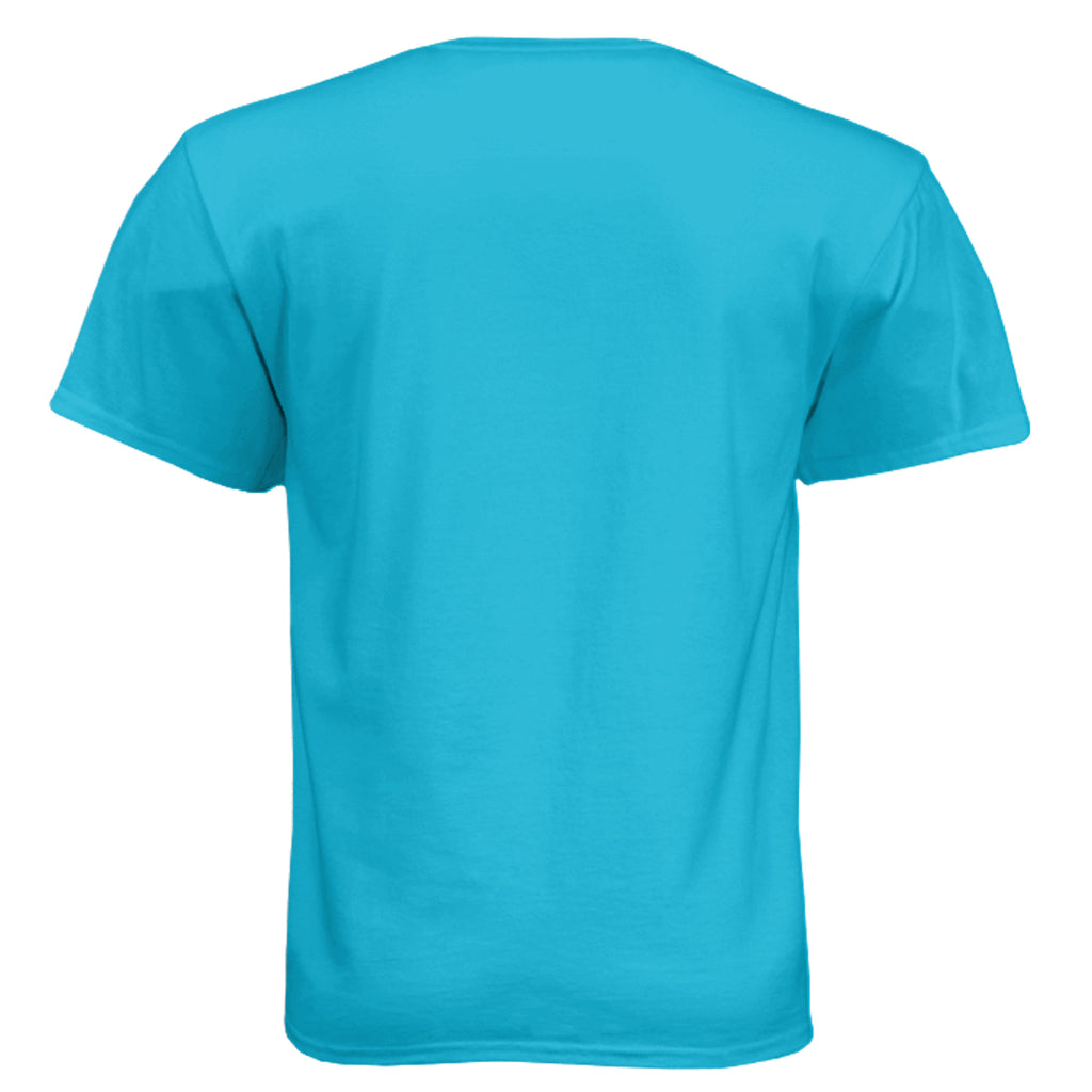 Bondi Blue - N6210 - BACK